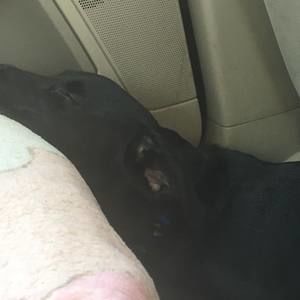 Meet your Posher, Brennan